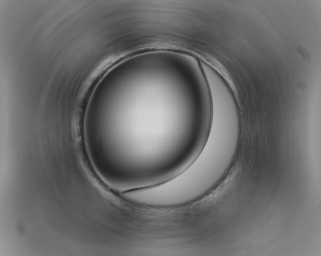 X0000113320997200909141351