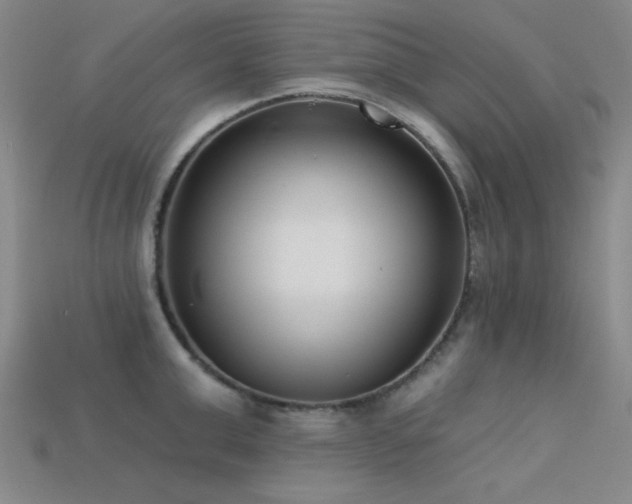 X0000113320999200909141351