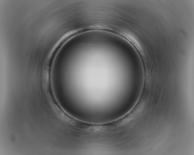 X0000113321000200909141351