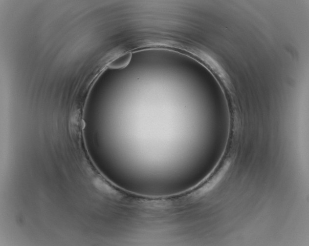 X0000113321001200909141351