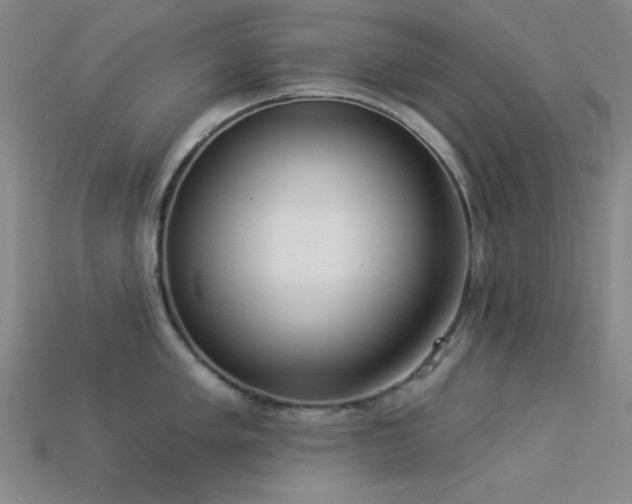 X0000113321005200909141351