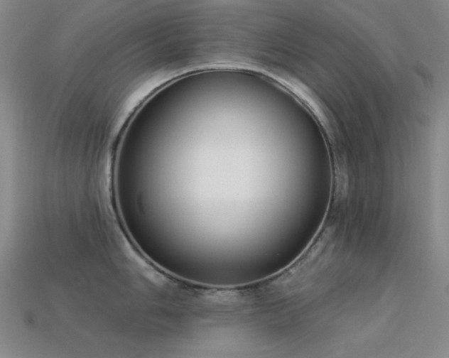 X0000113321006200909141351