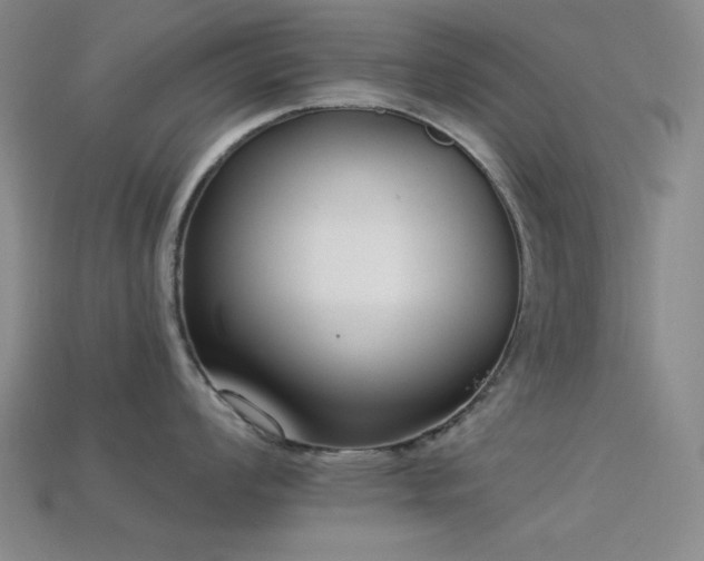 X0000113321008200909141351