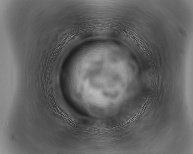 X0000113321009200909141350