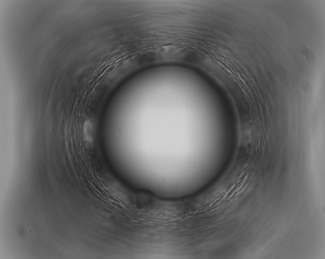 X0000113321010200909141350