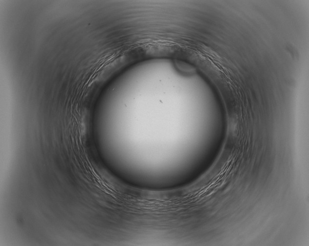 X0000113321012200909141350