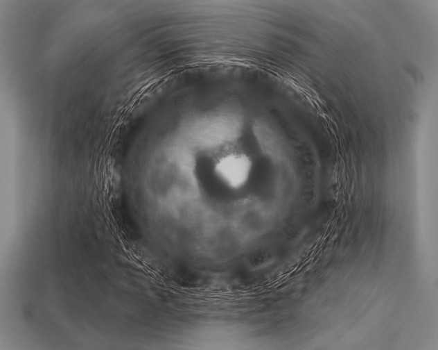 X0000113321013200909141350