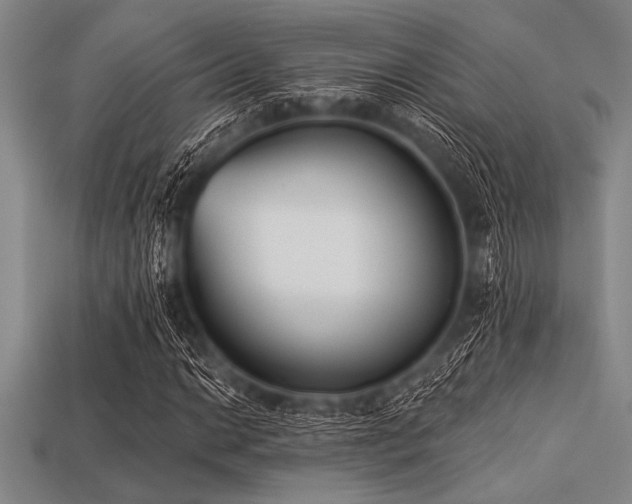 X0000113321014200909141350
