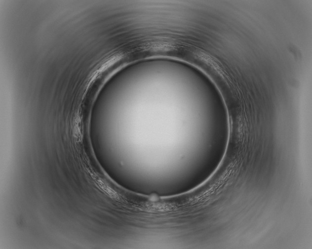 X0000113321018200909141350
