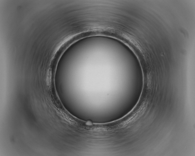 X0000113321021200909141350