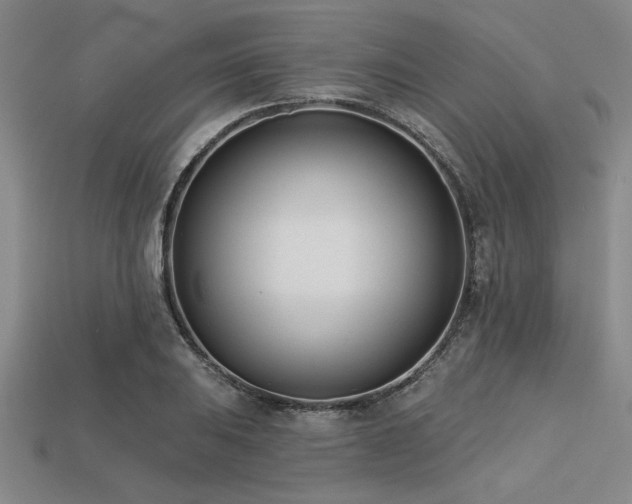 X0000113321031200909141351