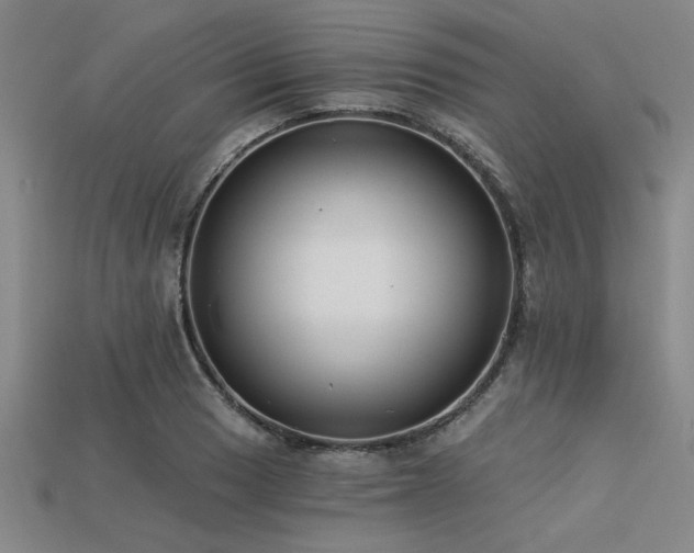 X0000113321033200909141351