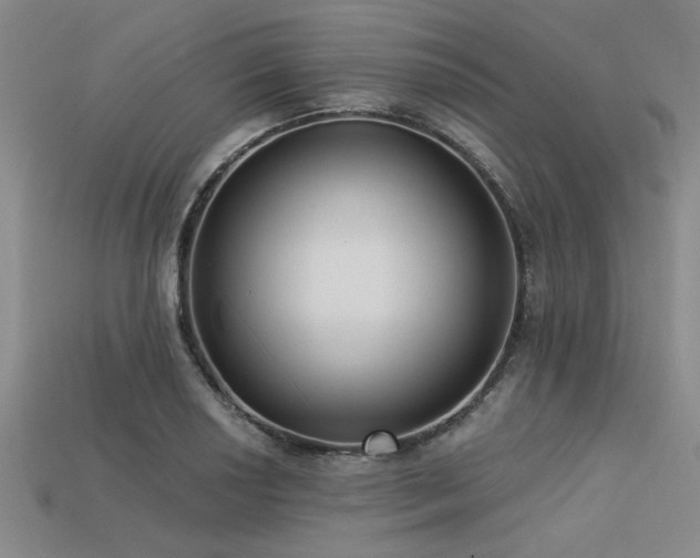X0000113321034200909141351