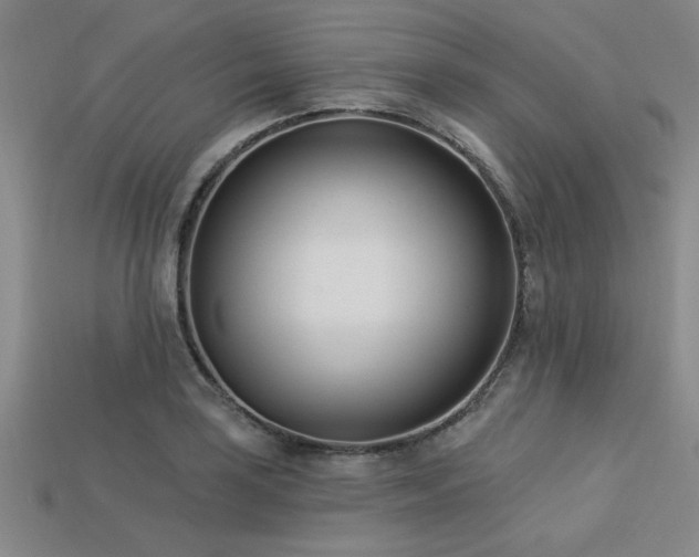 X0000113321035200909141351