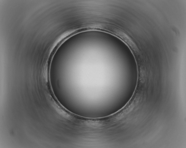 X0000113321036200909141351
