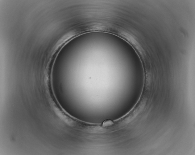 X0000113321042200909141351