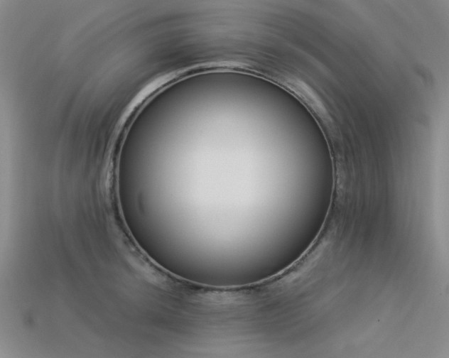 X0000113321044200909141351