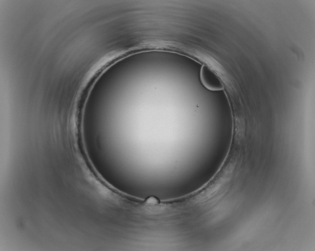 X0000113321046200909141351