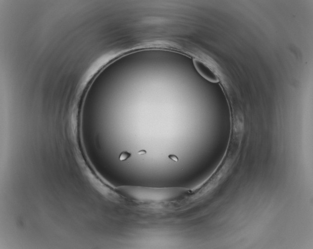 X0000113321054200909141351