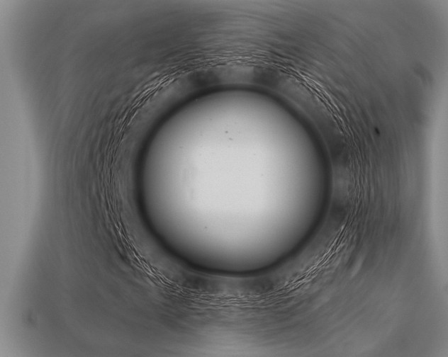 X0000113321057200909141350