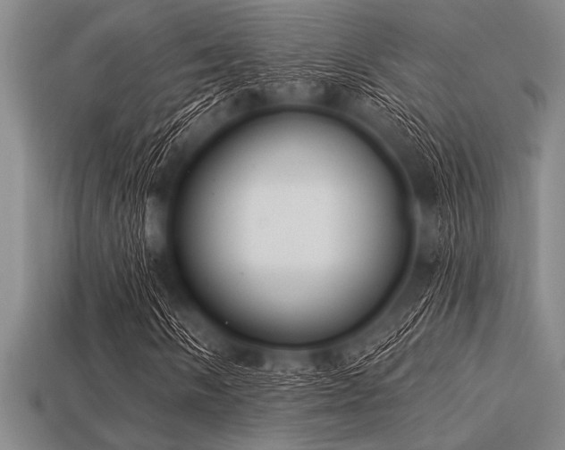 X0000113321058200909141350