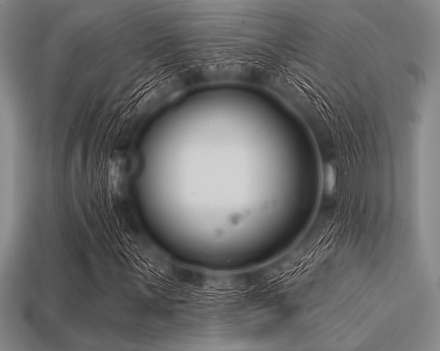 X0000113321059200909141350