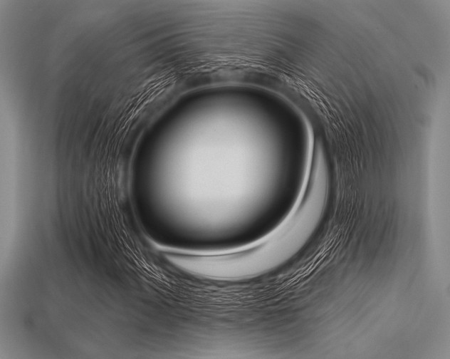 X0000113321060200909141350
