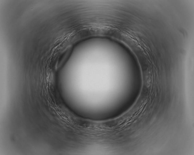 X0000113321061200909141350