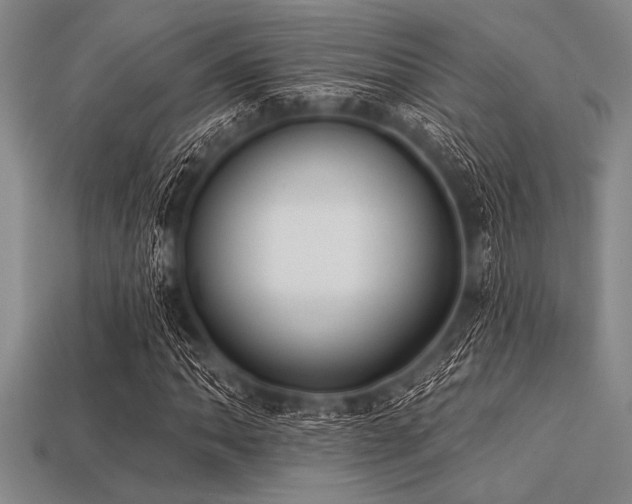 X0000113321062200909141350