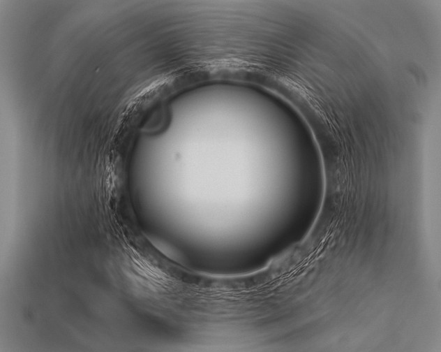 X0000113321063200909141350