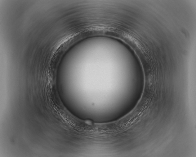 X0000113321064200909141350