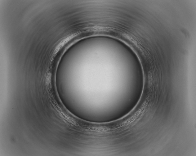 X0000113321066200909141350