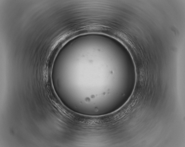 X0000113321067200909141350