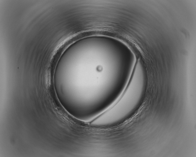X0000113321069200909141350