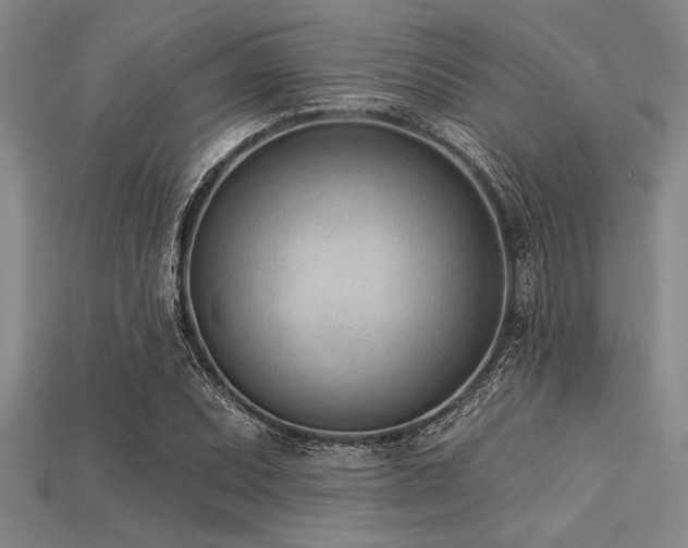 X0000113321071200909141350