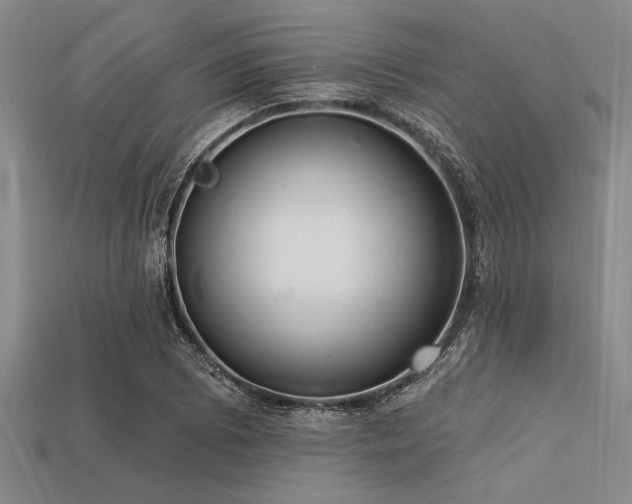 X0000113321073200909141350