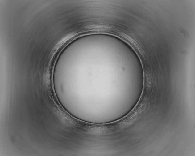 X0000113321074200909141350
