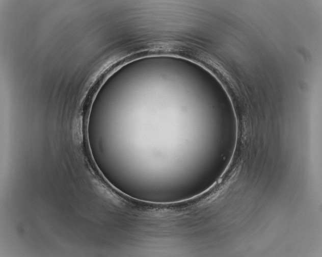 X0000113321075200909141350