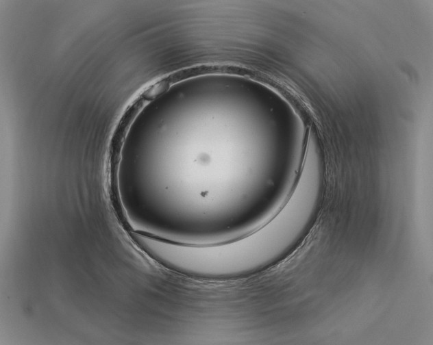 X0000113321076200909141350