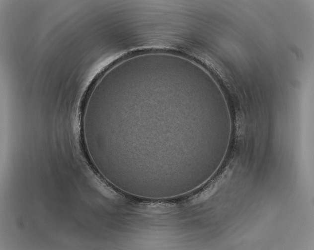 X0000113321077200909141350