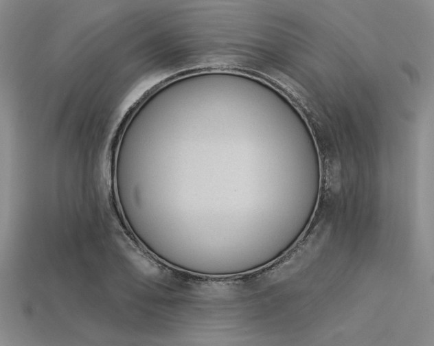 X0000113321078200909141350