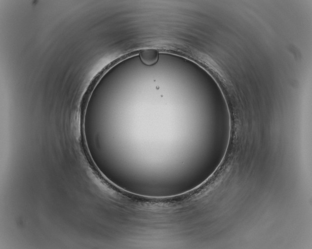 X0000113321079200909141350