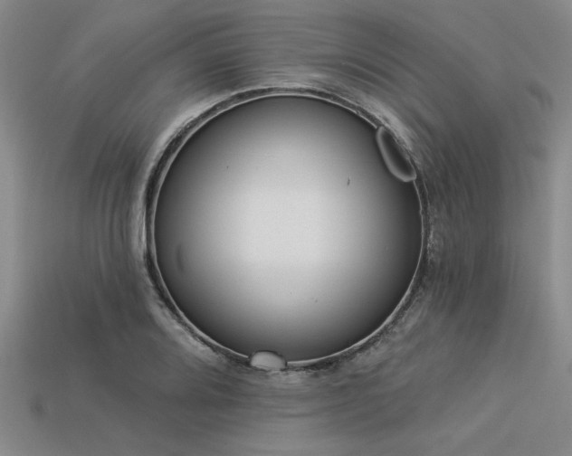 X0000113321080200909141350