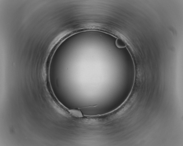 X0000113321082200909141350