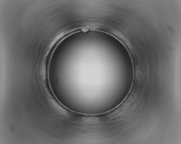X0000113321083200909141350
