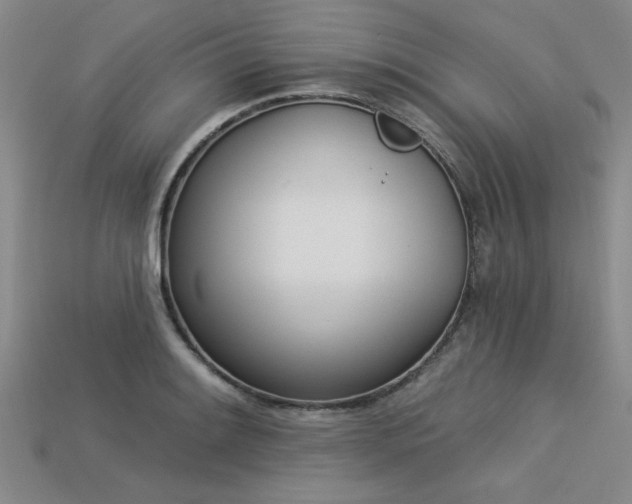 X0000113321084200909141350
