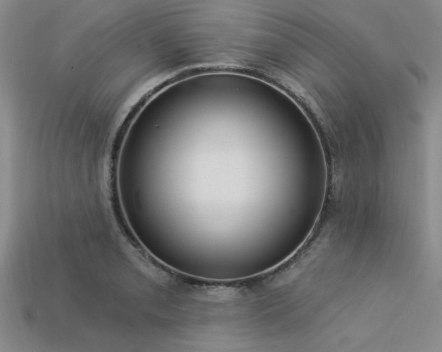 X0000113321085200909141350