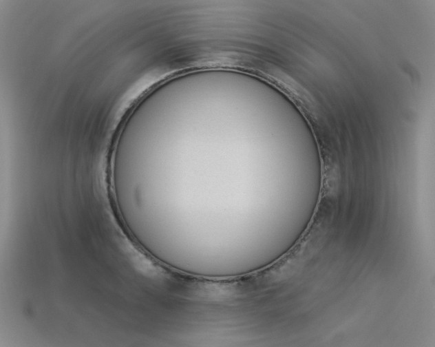 X0000113321086200909141350