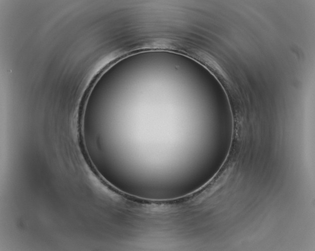 X0000113321087200909141350