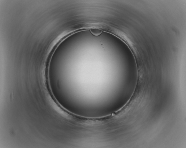X0000113321091200909141350